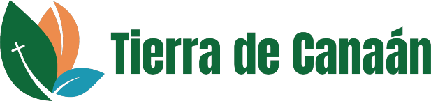 TDC
